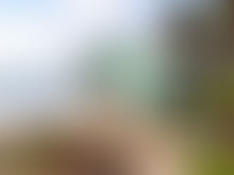 How a Portland Realtor Negotiated $200,000 Off a Beach House