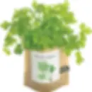Parsley Garden Bag