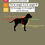 Miniature : Harnais en H Chiens moyens