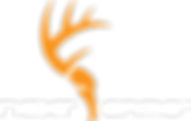 next_camo_logo.png