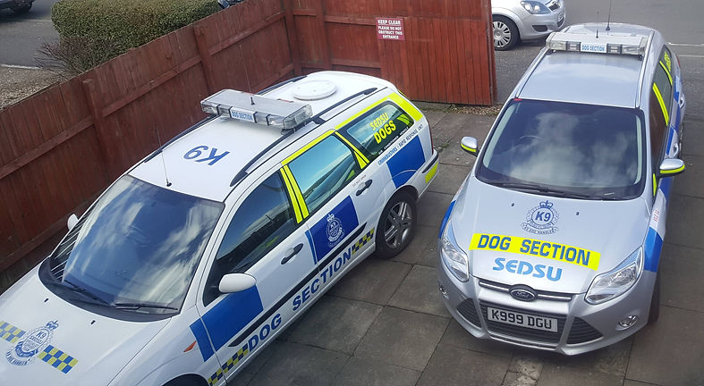 k999 new car march 2021.jpg