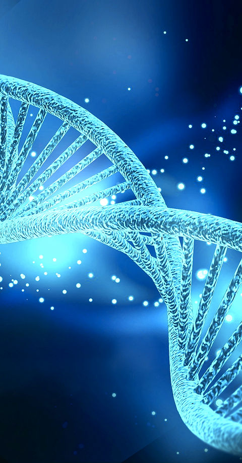 DNA3.jpg