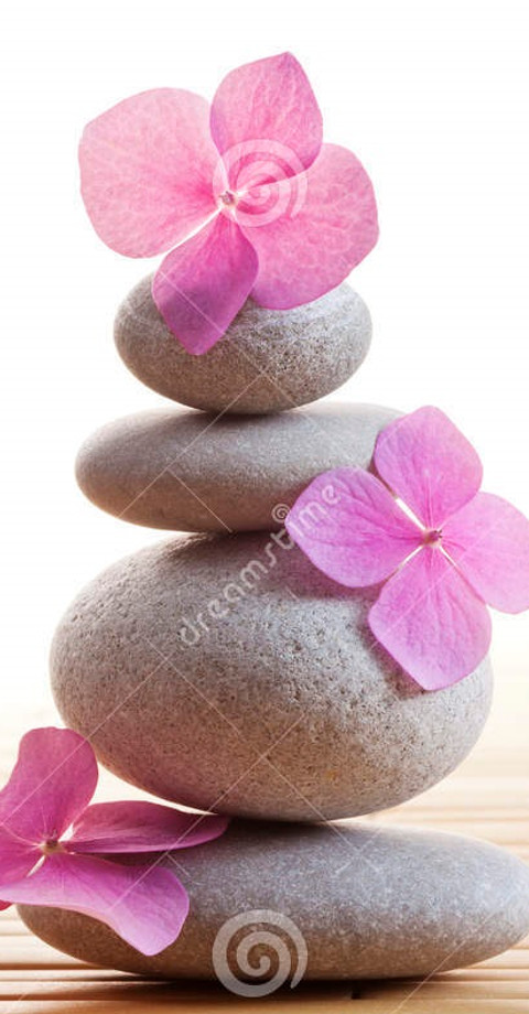 pedras-e-flores-do-zen-34433758.jpg