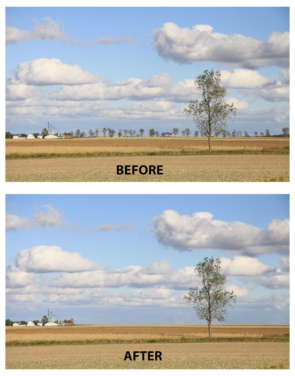 Removing from /Editing Images