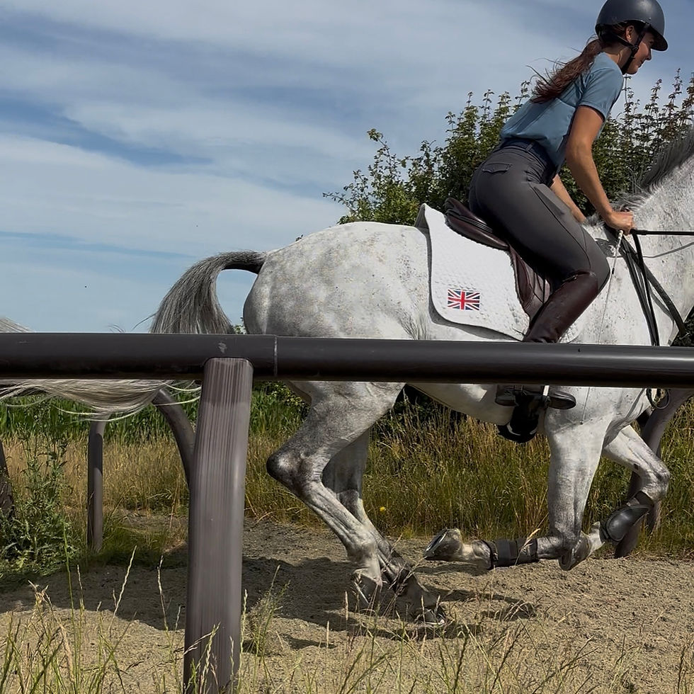 Heart Rate & Horsepower: The Engine of Performance