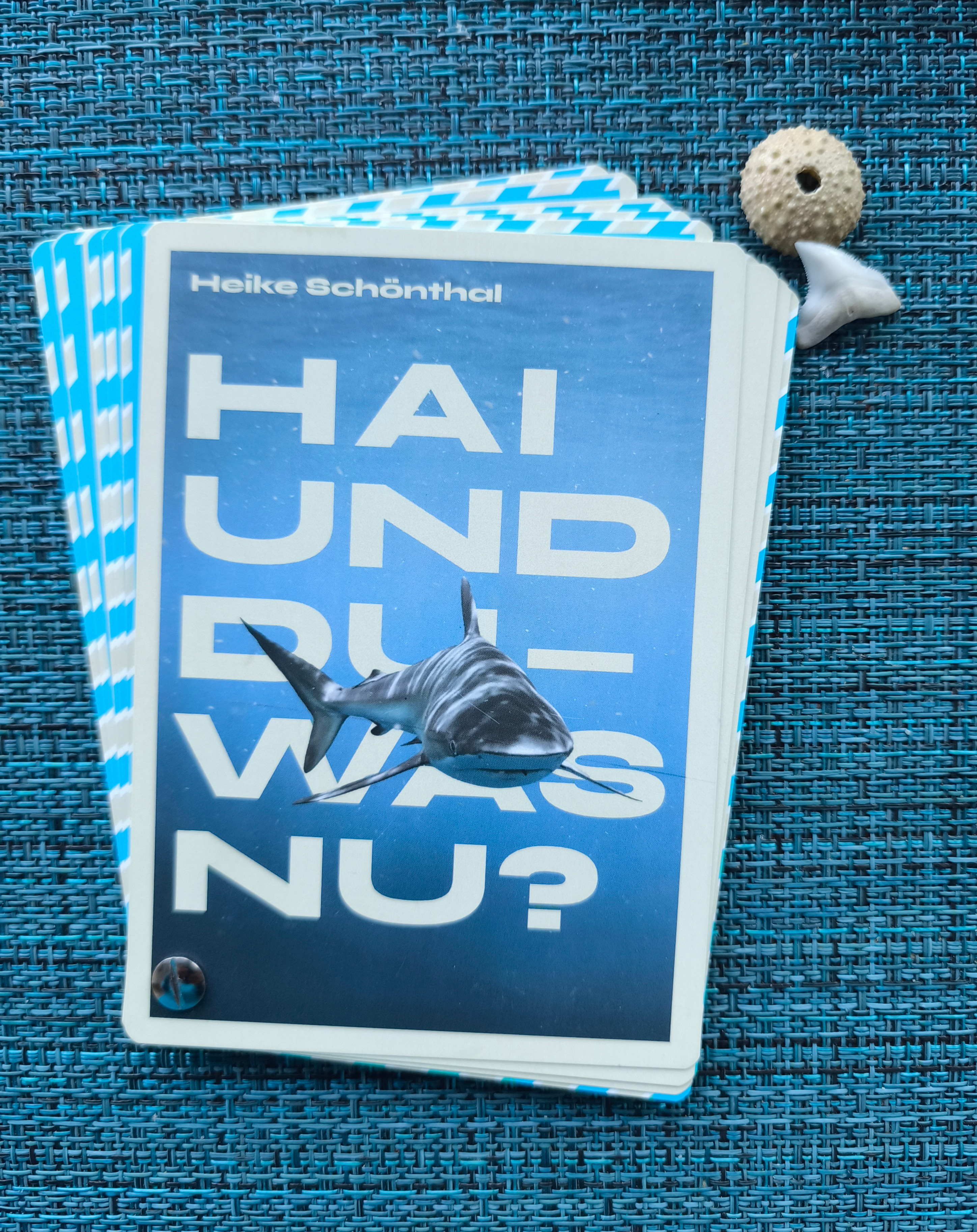 HAI UND DU - WAS NU?