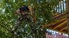 tree-trimming-02.png