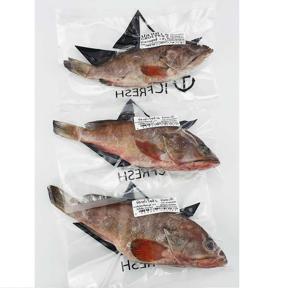 Thumbnail: ICFresh Grouper Size S pack 1pc