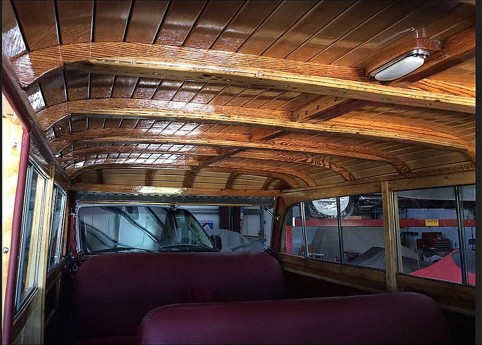 Dodge Interior ceiling.jpg