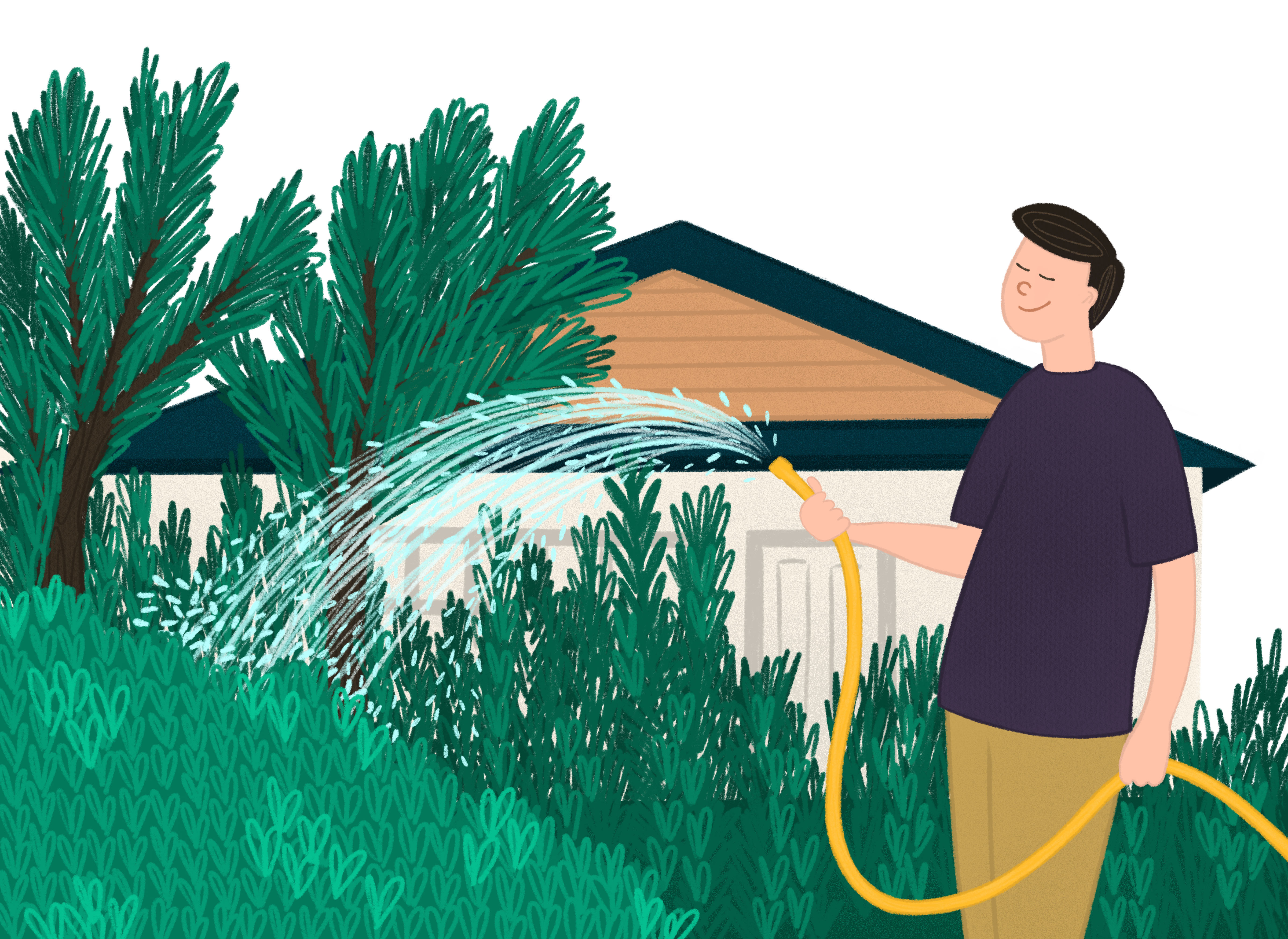 Blog Post Illustrations for Lotmix