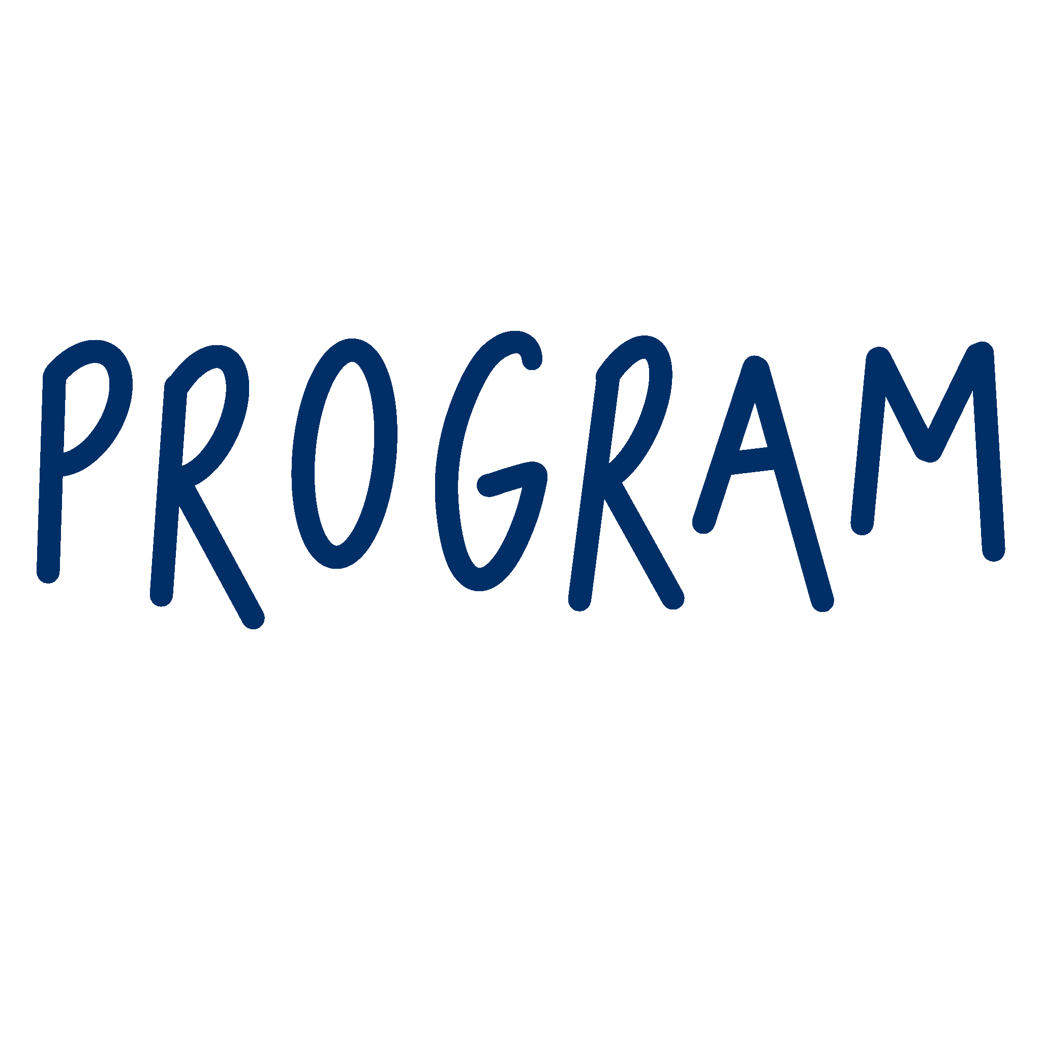 Program