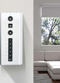 Screen Shot 2022-08-26 at 10_edited.jpg