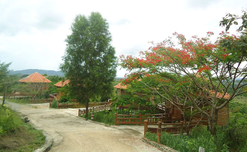 Picnic Resort Organic Farm, Cambodia