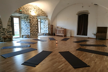 Petit Dojo 3.PNG