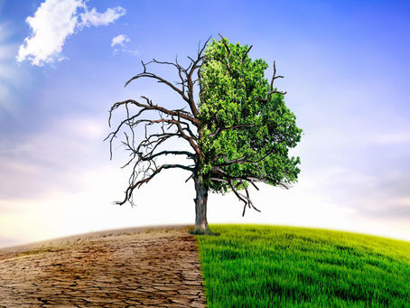 What is Climate / Eco – Anxiety?
