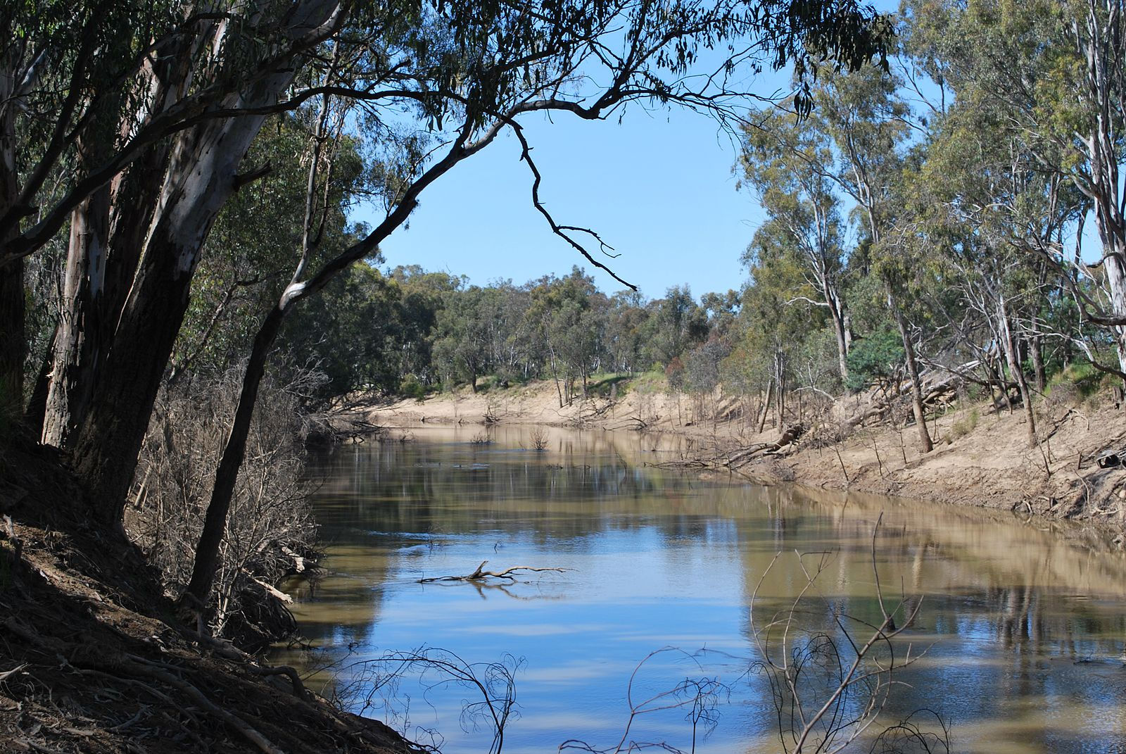 Rainbow's End Study Companion