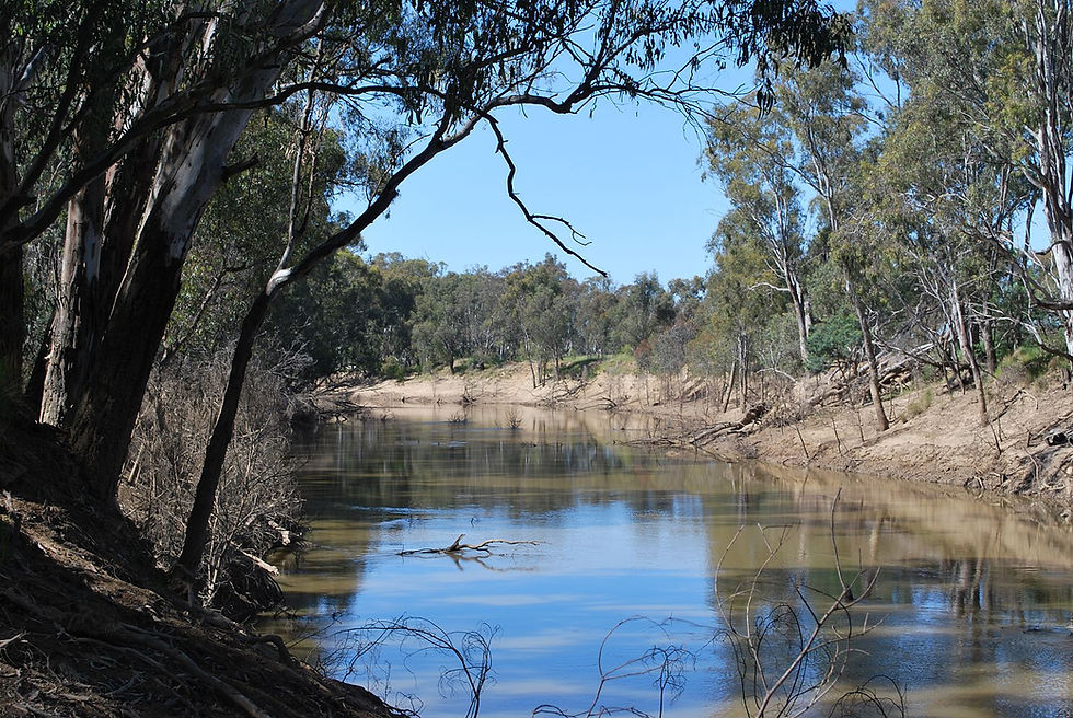 Rainbow's End Study Companion