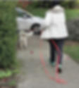 mantrailing BBS