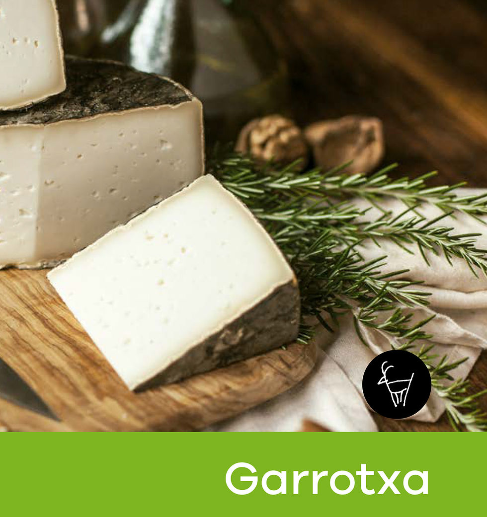 GARROTXA GOAT CHEESE