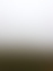 Dissoziation verstehen: Wenn man sich selbst nicht spüren kann