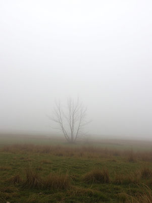 Dissoziation verstehen: Wenn man sich selbst nicht spüren kann