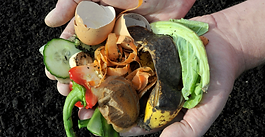 Programme de Compostage