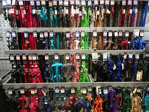 IMG_3628.jpeg