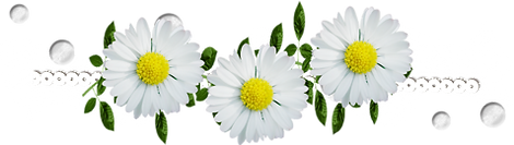 marguerittes_2.png