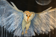 Night Flight