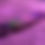 Thumbnail: Procyon Banana