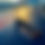 Thumbnail: Procyon Banana