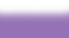 peter boyd website (5).png