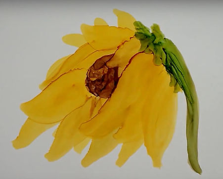 Screen Shot 2018-02-01 at 5.39.19 PM.jpg