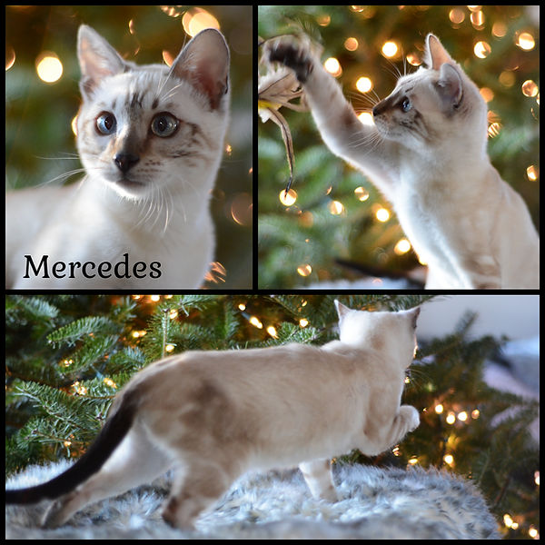 Etsy Item Listing Photo-161.jpg