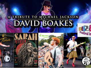Collage promoting the Disability Festival in the Park 2026, featuring David Boakes performing a Michael Jackson tribute, Carrie Anne Rendell as Tina Turner, singer Sarah Peterson, Joseph Doran as an Ed Sheeran tribute, and members of Monkies Wedding performing live.