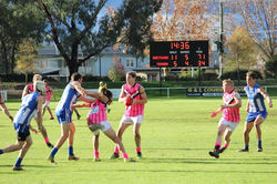 13267702_794328600698205_8884101850000867164_n