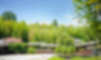 0129_edited.jpg