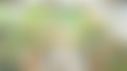 結婚式レポート【野外アウトドアの結婚式】