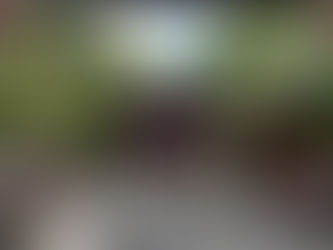 有松天満社・竹田邸