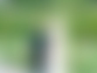 【お寺での結婚式の魅力】第二弾