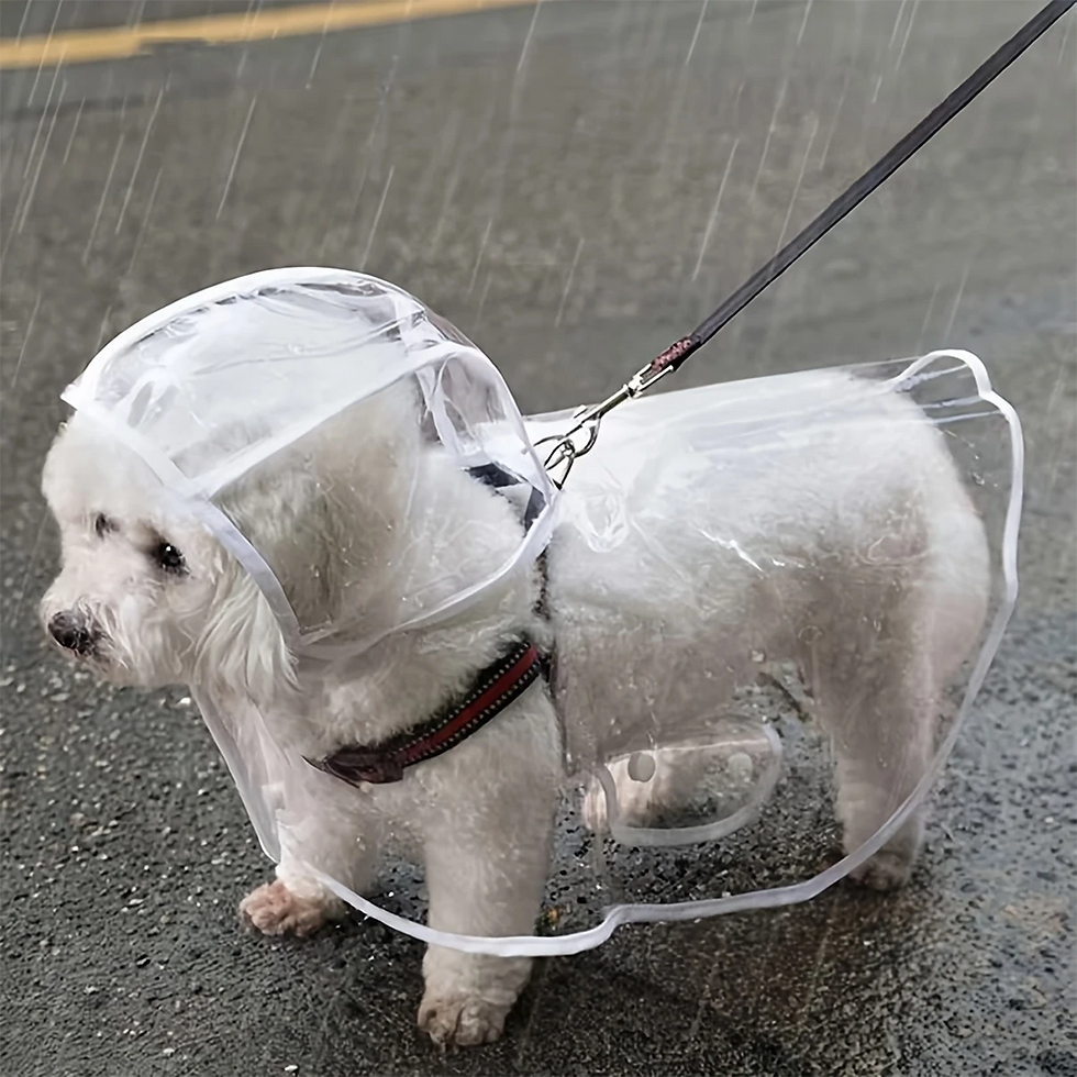 Thumbnail: Clear Waterproof Dog Raincoat