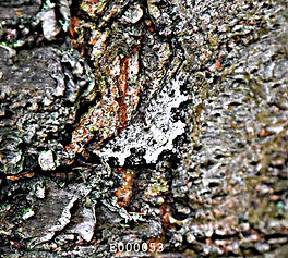 E000053_edited.jpg