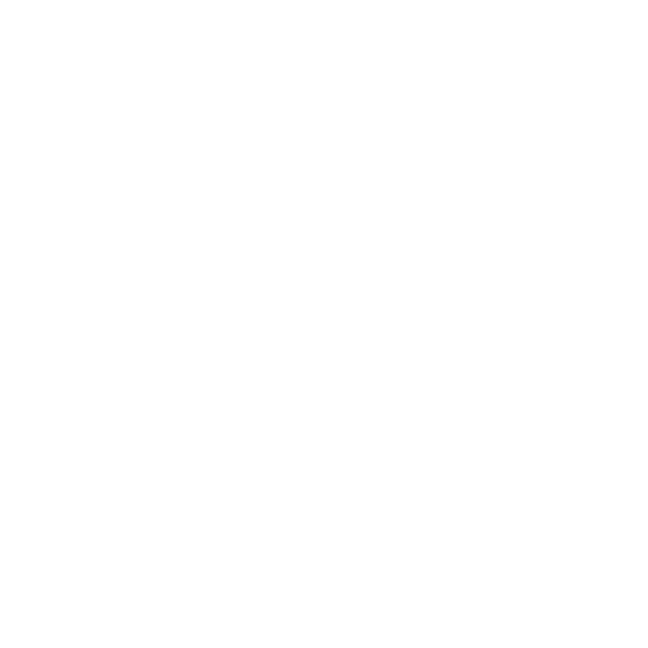 PR Logo grunddatei (weiss).png