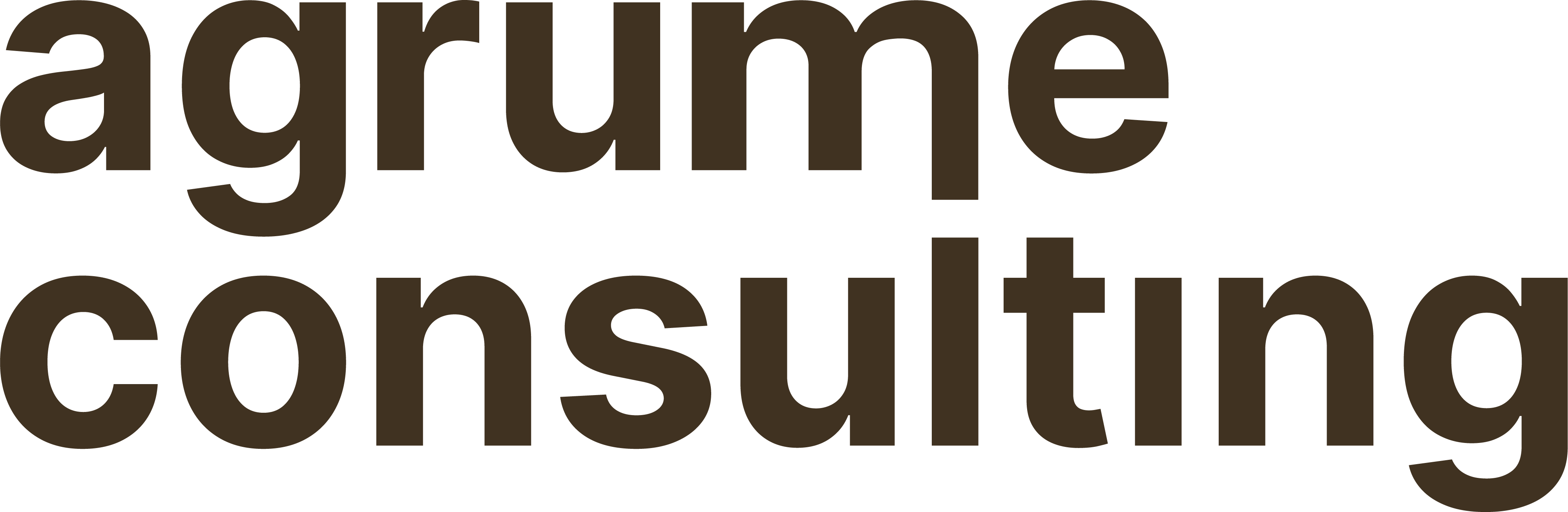 logo_ssb2.png