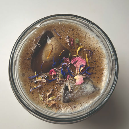 Hojicha: Japans Geheimtipp, den hier (noch) kaum jemand kennt