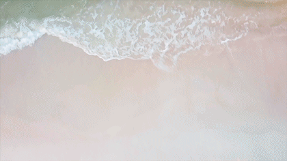 Pexels-Videos-240828.gif