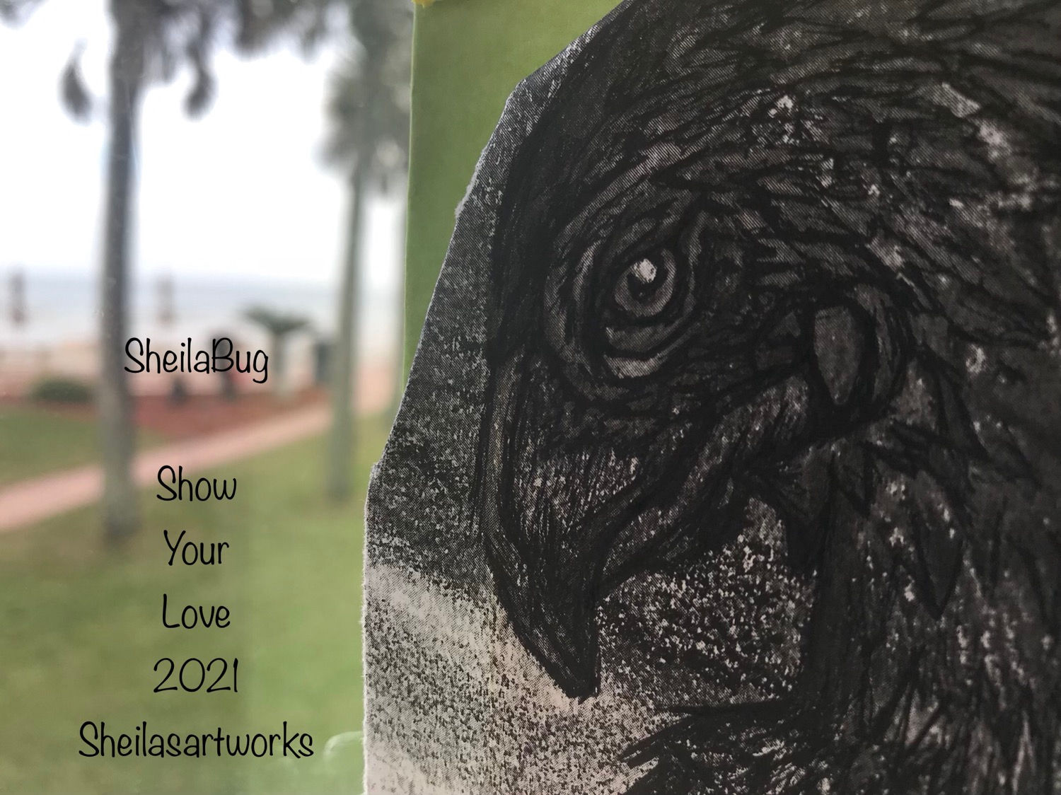 Faithfulness Baby Raven 