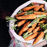 Organic Carrots
