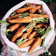 Les carottes organiques