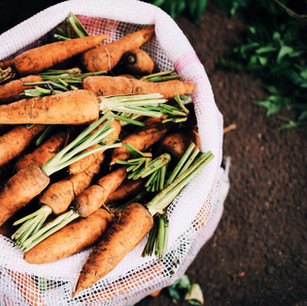 Organic Carrots